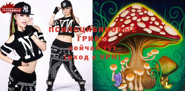 Альфа ПВП Няндома
