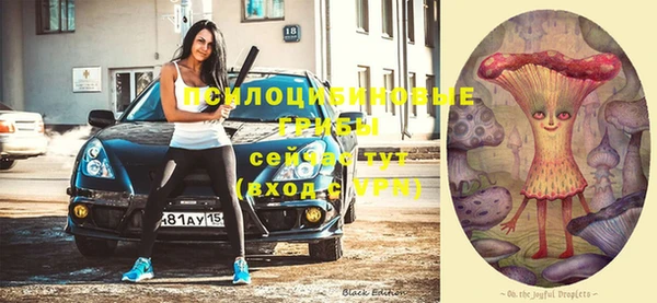 Альфа ПВП Няндома