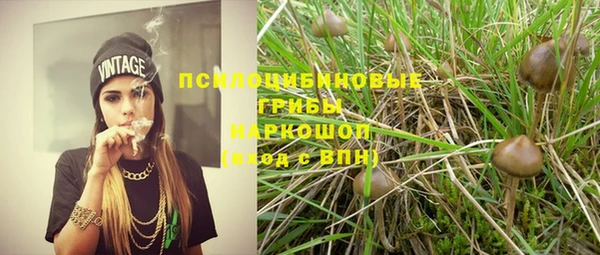 Альфа ПВП Няндома