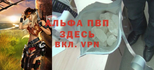 Альфа ПВП Няндома