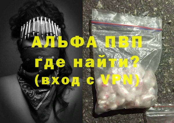 Альфа ПВП Няндома