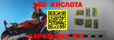 спиды Гусев