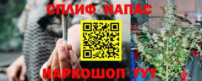 спиды Гусев