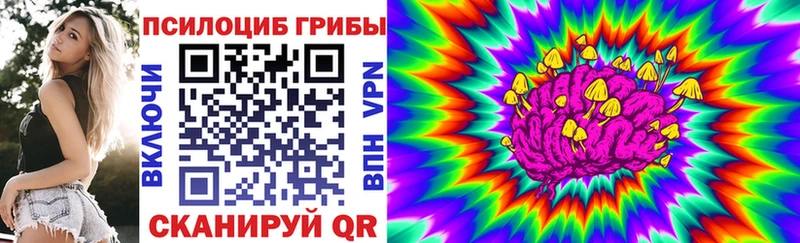 дарнет шоп  Кисловодск  Галлюциногенные грибы ЛСД 