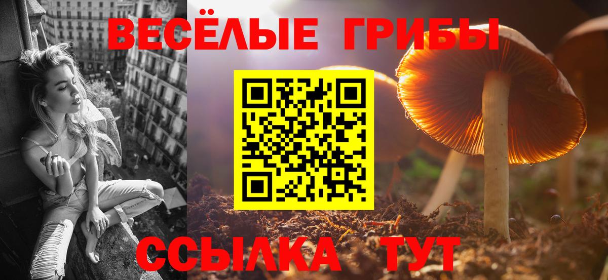 Псилоцибиновые грибы MAGIC MUSHROOMS  Вход с VPN  Кисловодск 