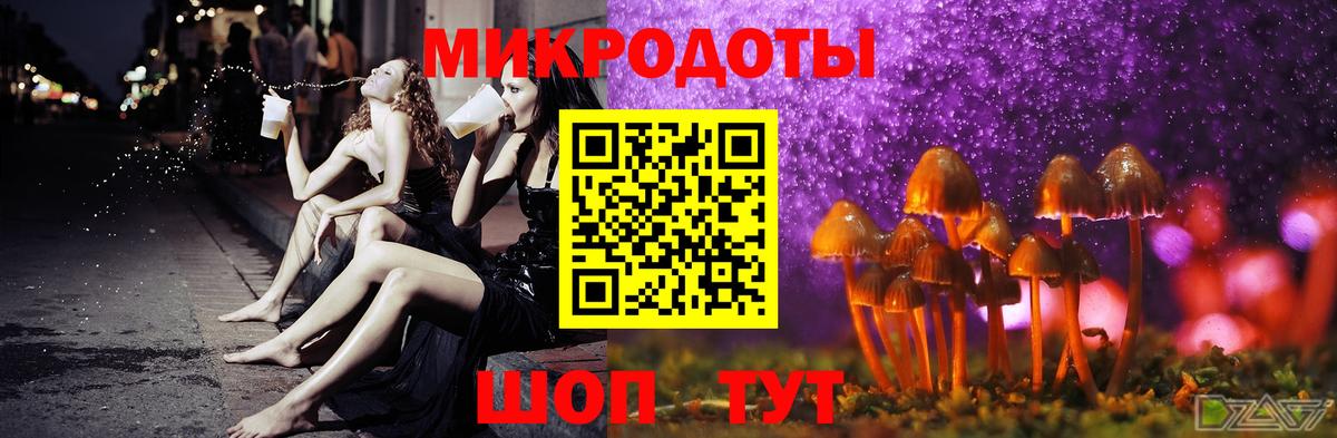 Конопля Кисловодск